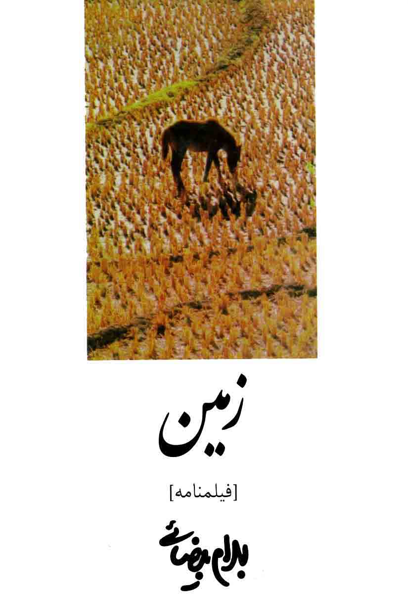 نمایش زمین
